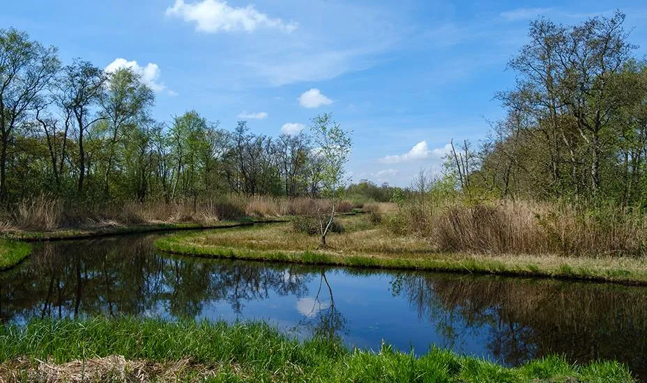 Versnelling aanleg natuur in vijf gebieden provincie zet weer stap vooruit