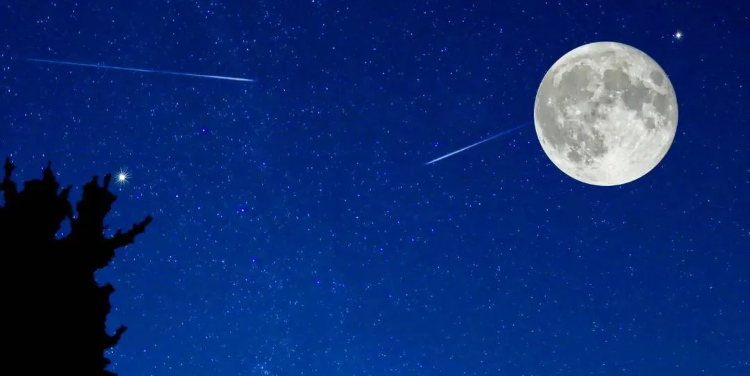 screenshot-20191212-094011