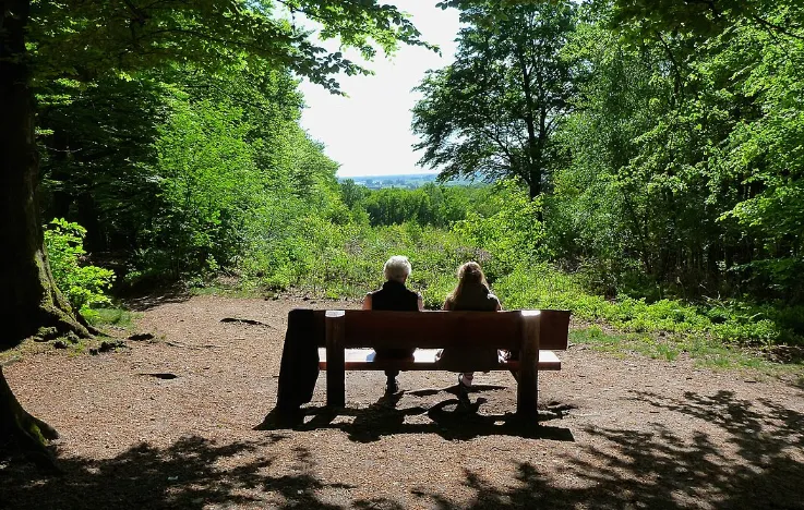 Screenshot_20251218_104330