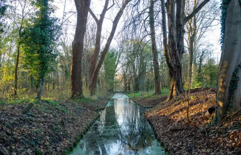 screenshot-20220210-172539 (1)