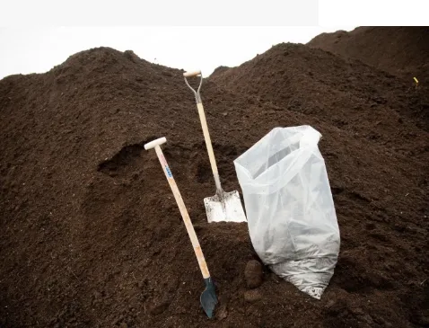 Screenshot_20260206_123742