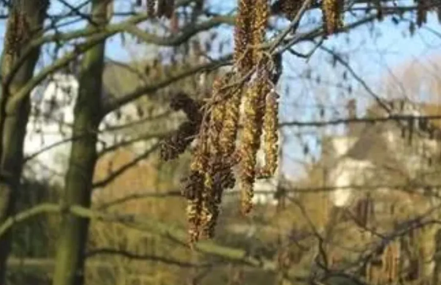 Screenshot_20260301_135810