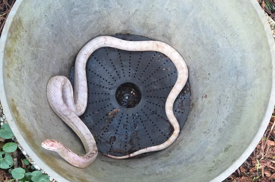 Screenshot_20260302_120915