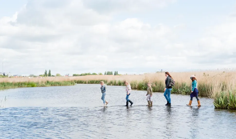 Screenshot_20260303_105742