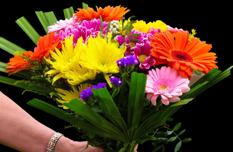 Screenshot_20260311_091827