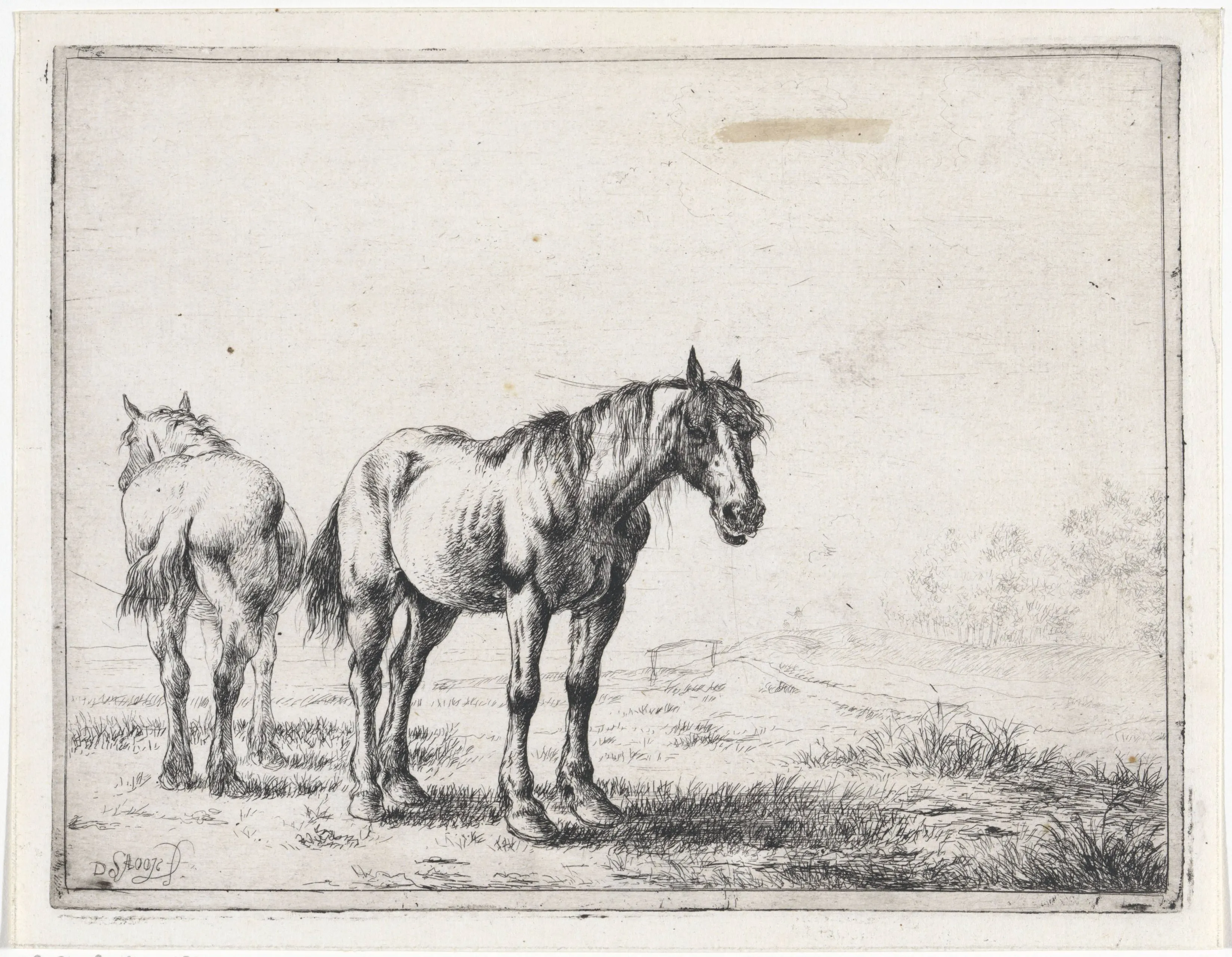 Twee_paarden_in_een_landschap_Paarden_(serietitel),_RP-P-OB-60.581