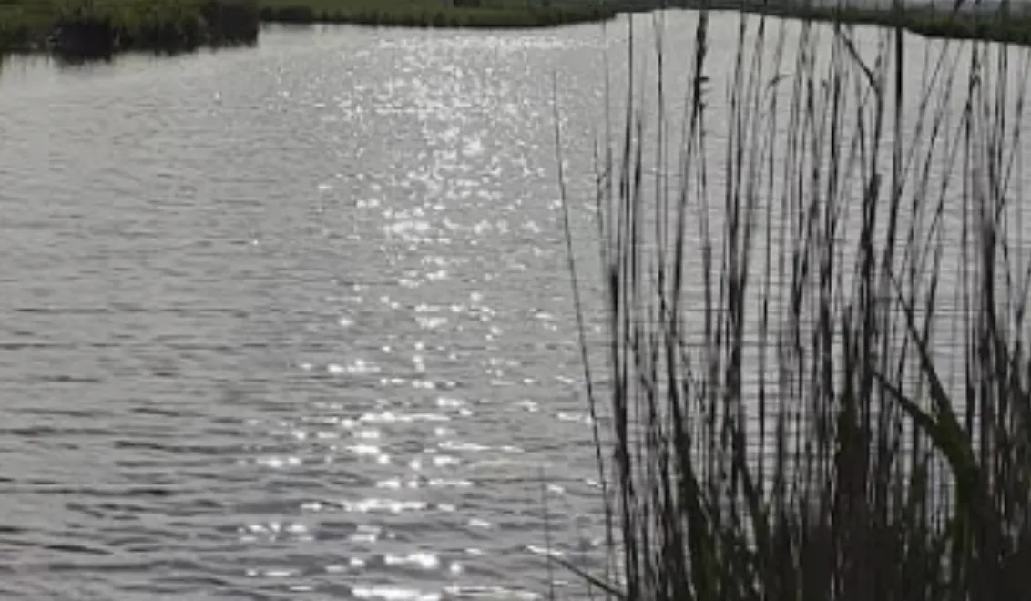 Screenshot_20260402_114504