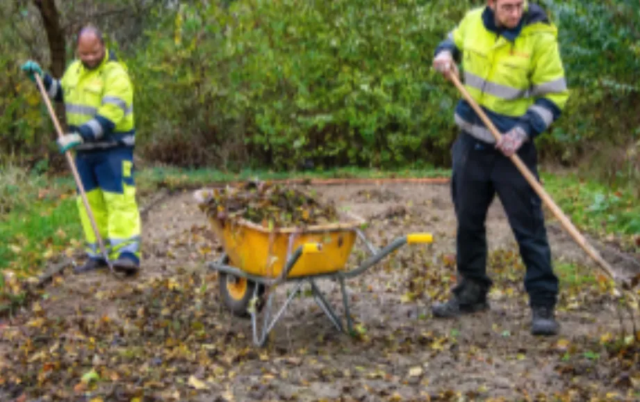 Screenshot_20260420_121236