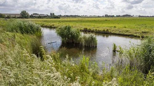 NH021608 polder Westzaan
