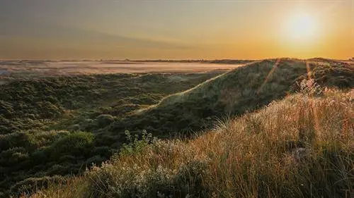Noordhollands Duinreservaat 2 Floris Leeuwenberg