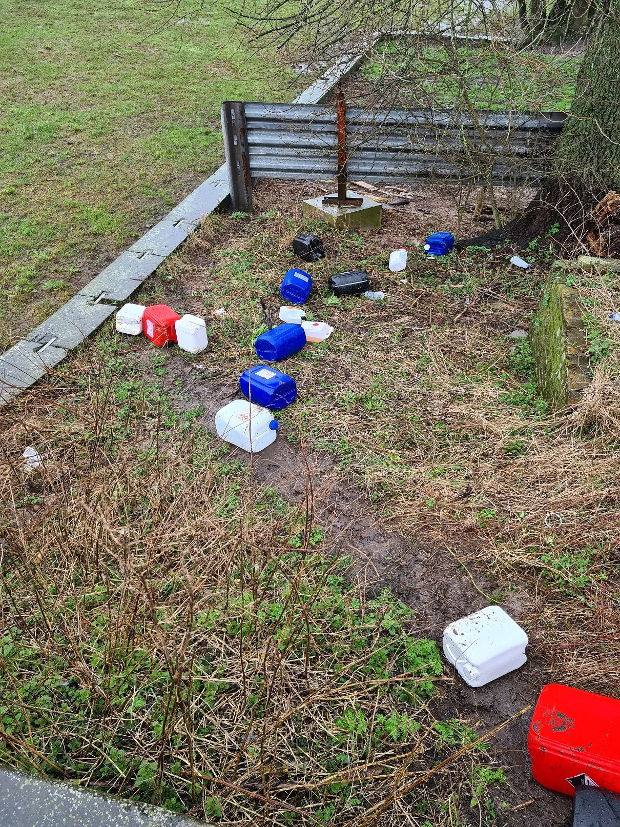 429674428 802221385273011 1644447441773515691 n