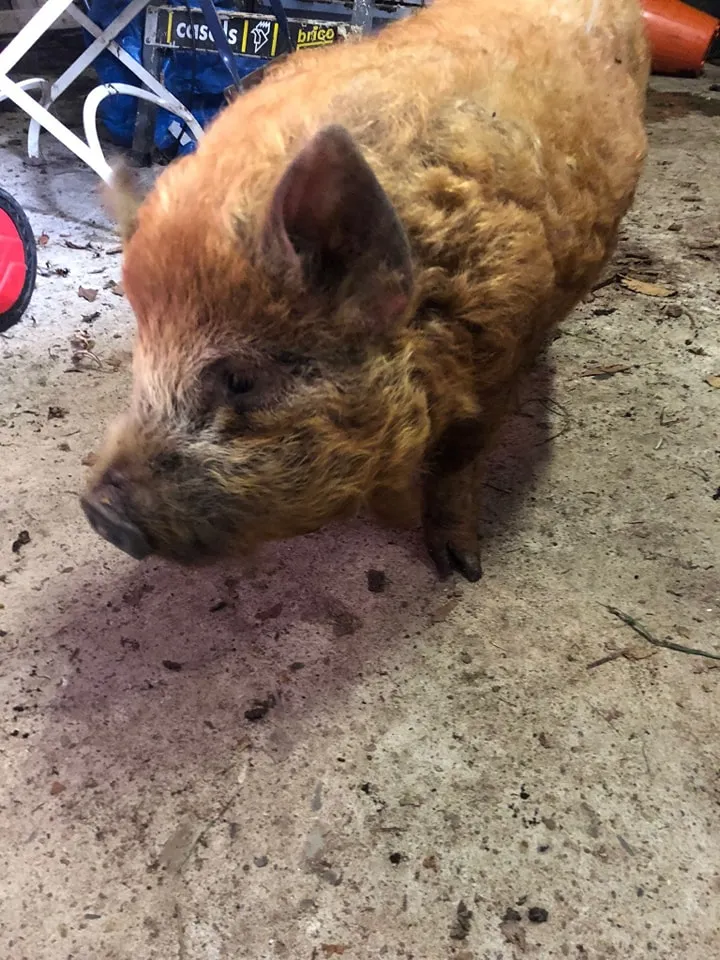 433518115 414209761260020 3031179948770744355 n