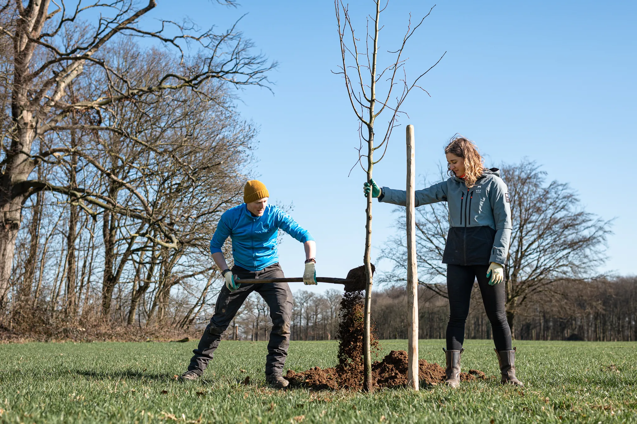 aanplanting website 049 marcel de bont fotografie
