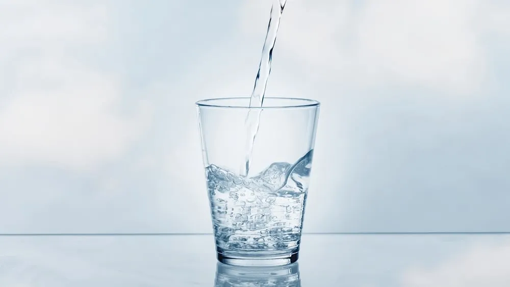 shutterstock 2445334423