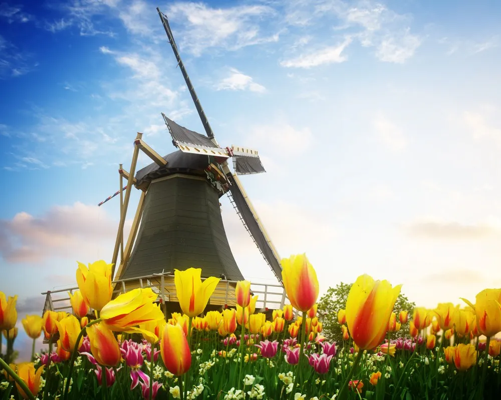 shutterstock 257525644