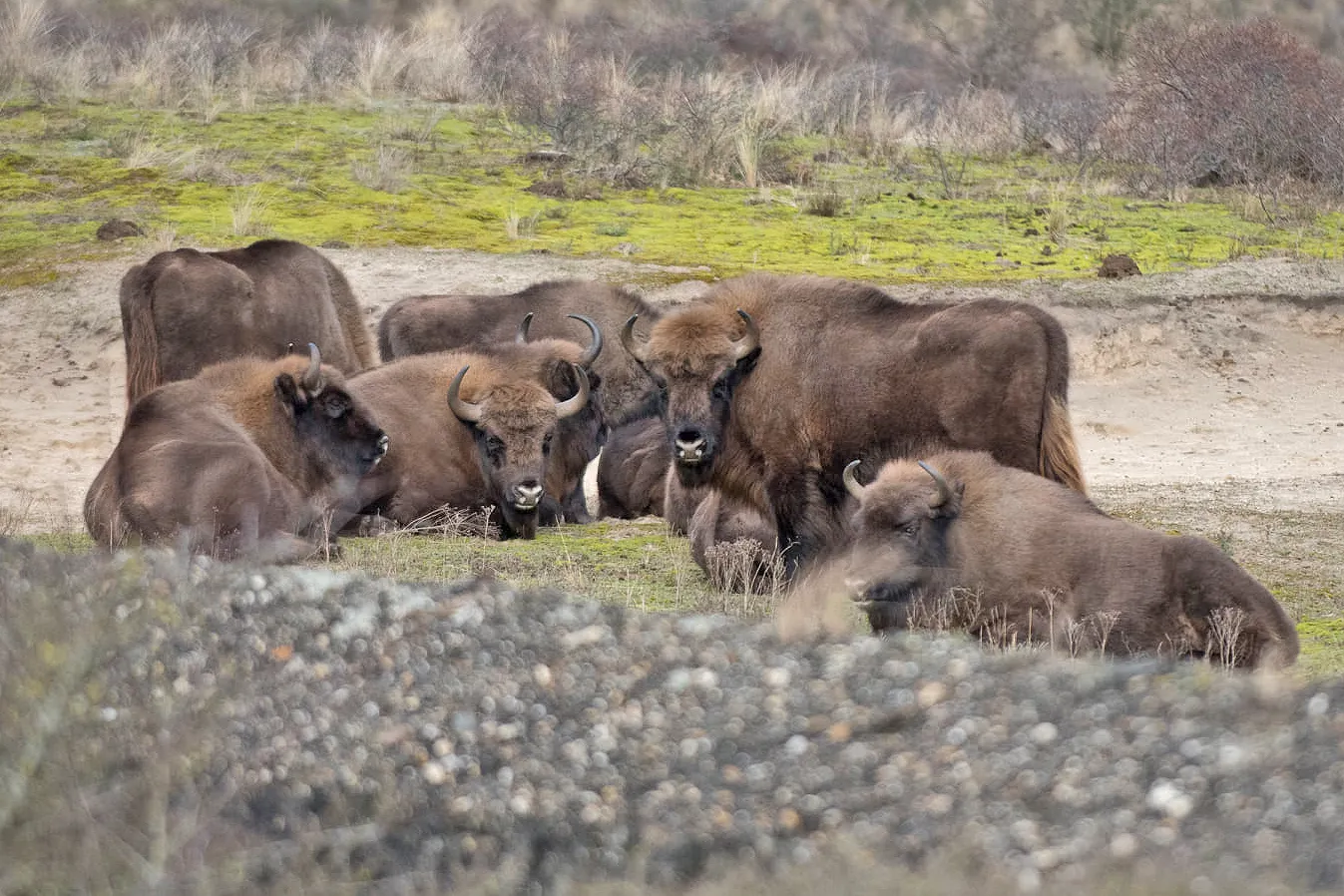 139838071 3563063557126218 4336888699921178560 o