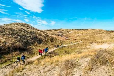 30 van zandvoort le champion