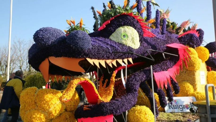 5i5a5629 1024x683 915x518 1