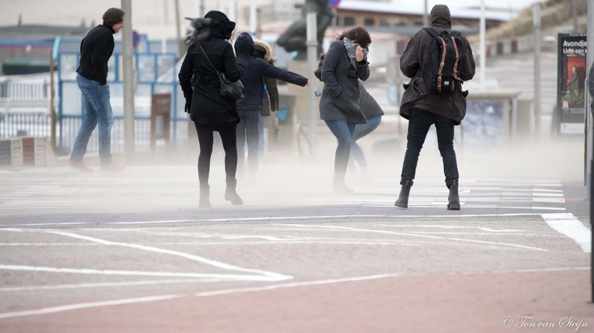 84468777 2658565217576061 2683443447112663040 o