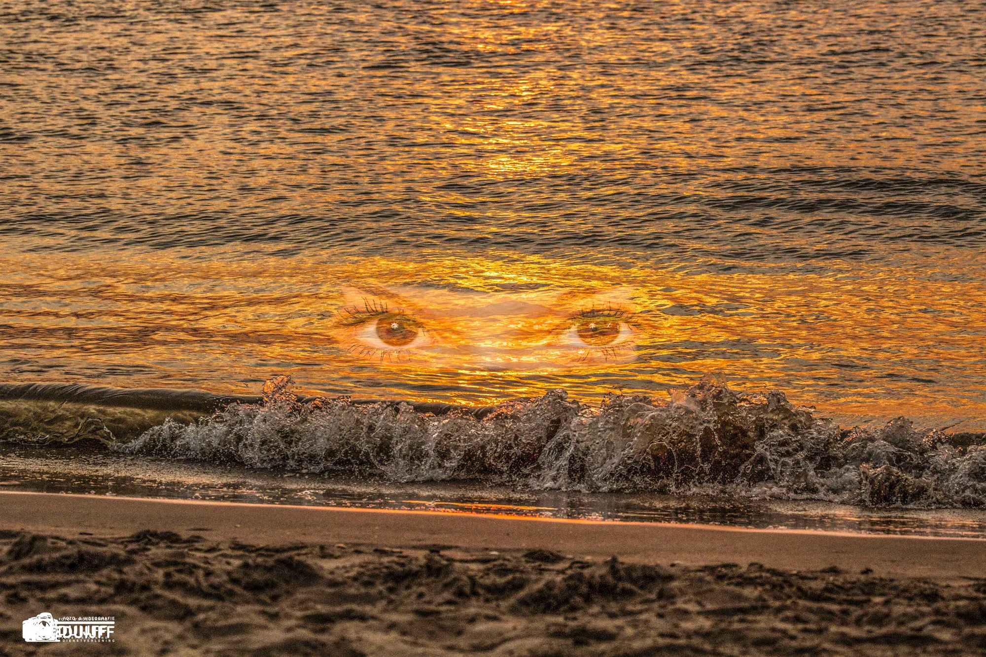 beauty and the beach