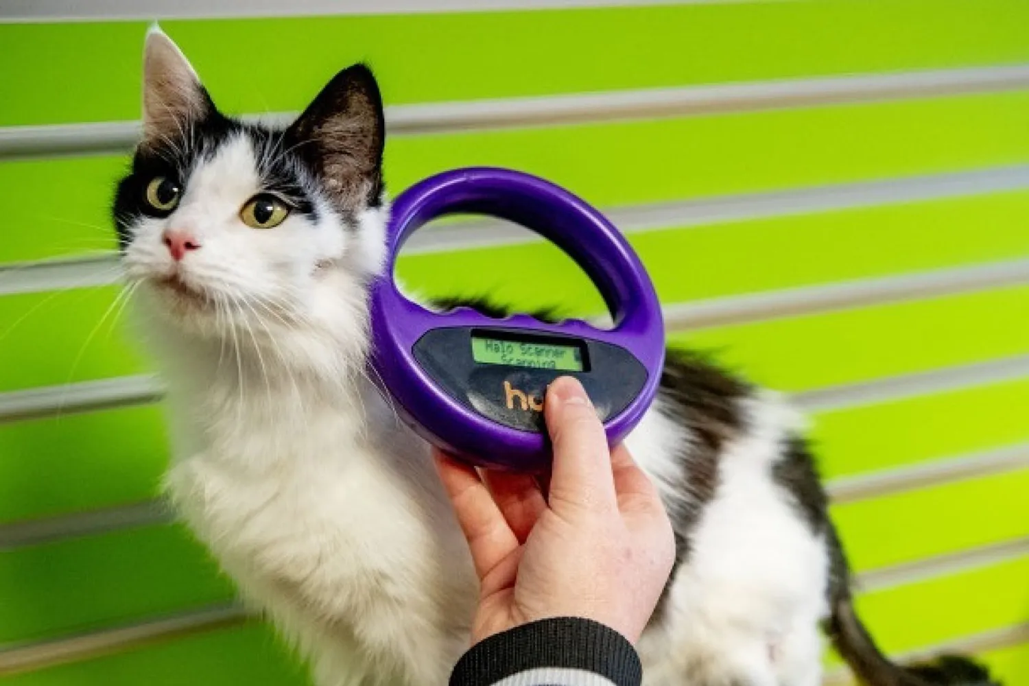 chipjekat23 2023 03 13 121100 xyhh