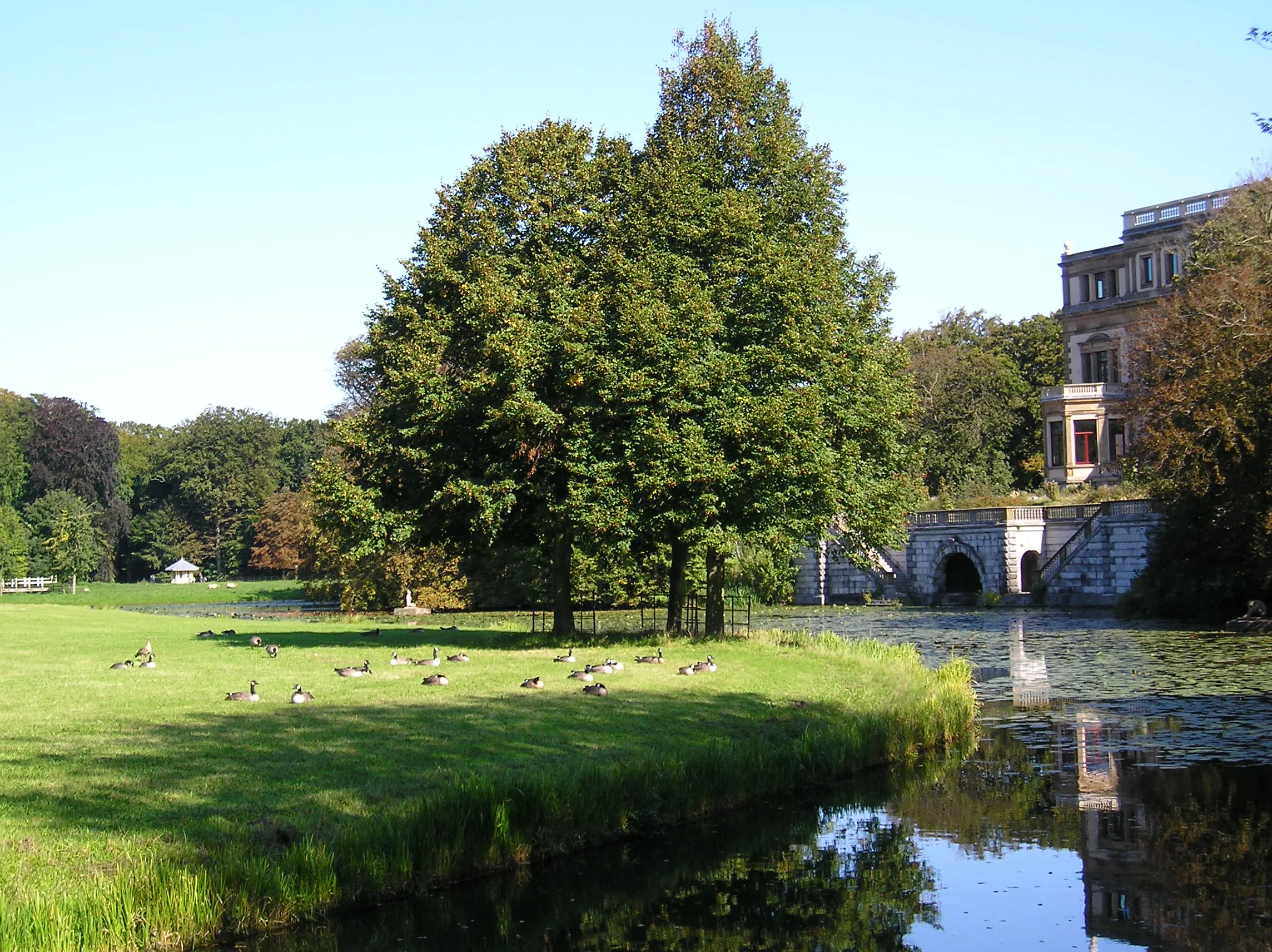 ganzen en grote huis staatsbosbeheer