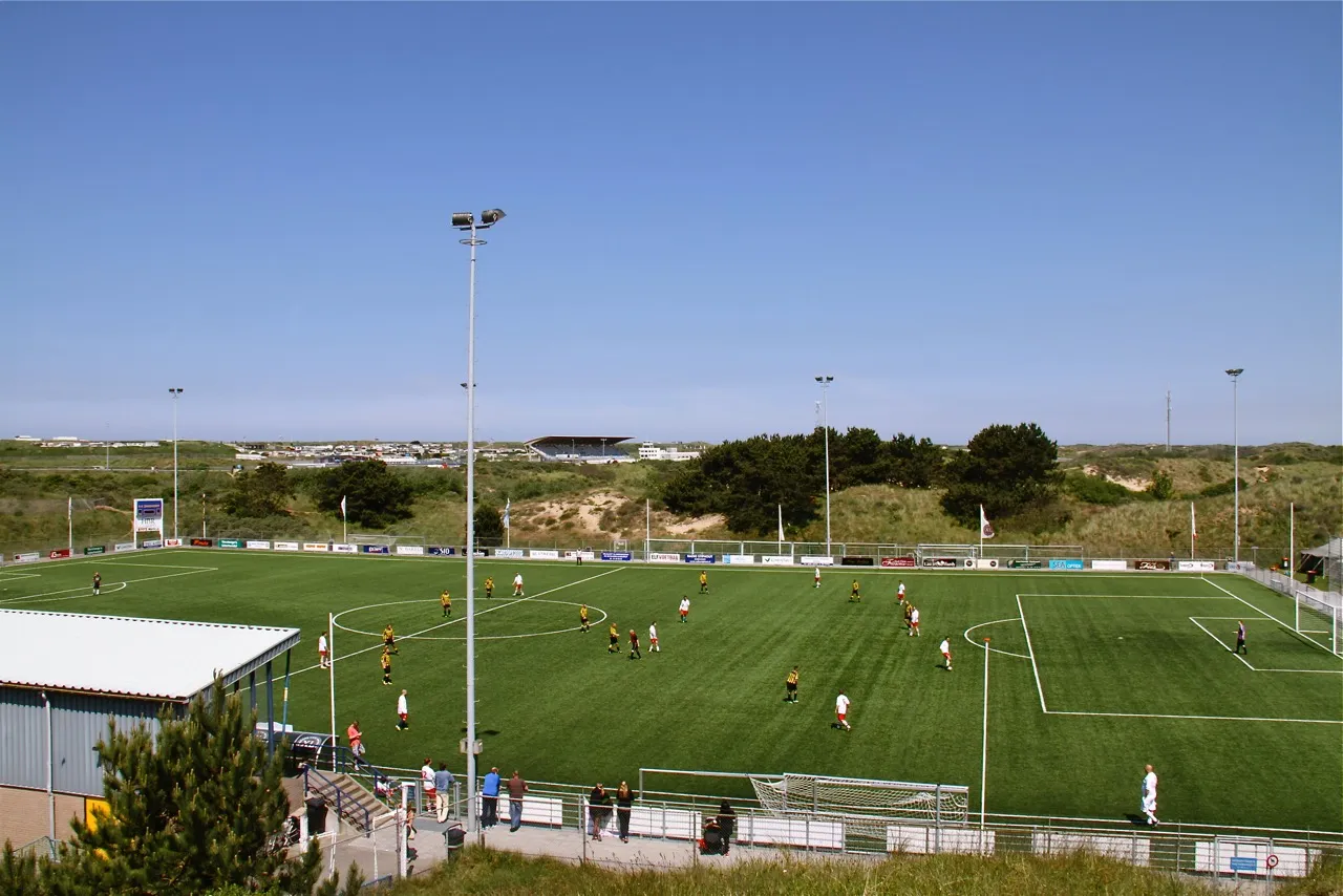 hotsknotsbegonia wim mendel