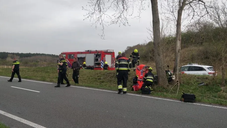 img 20220412 184046 915x518 1