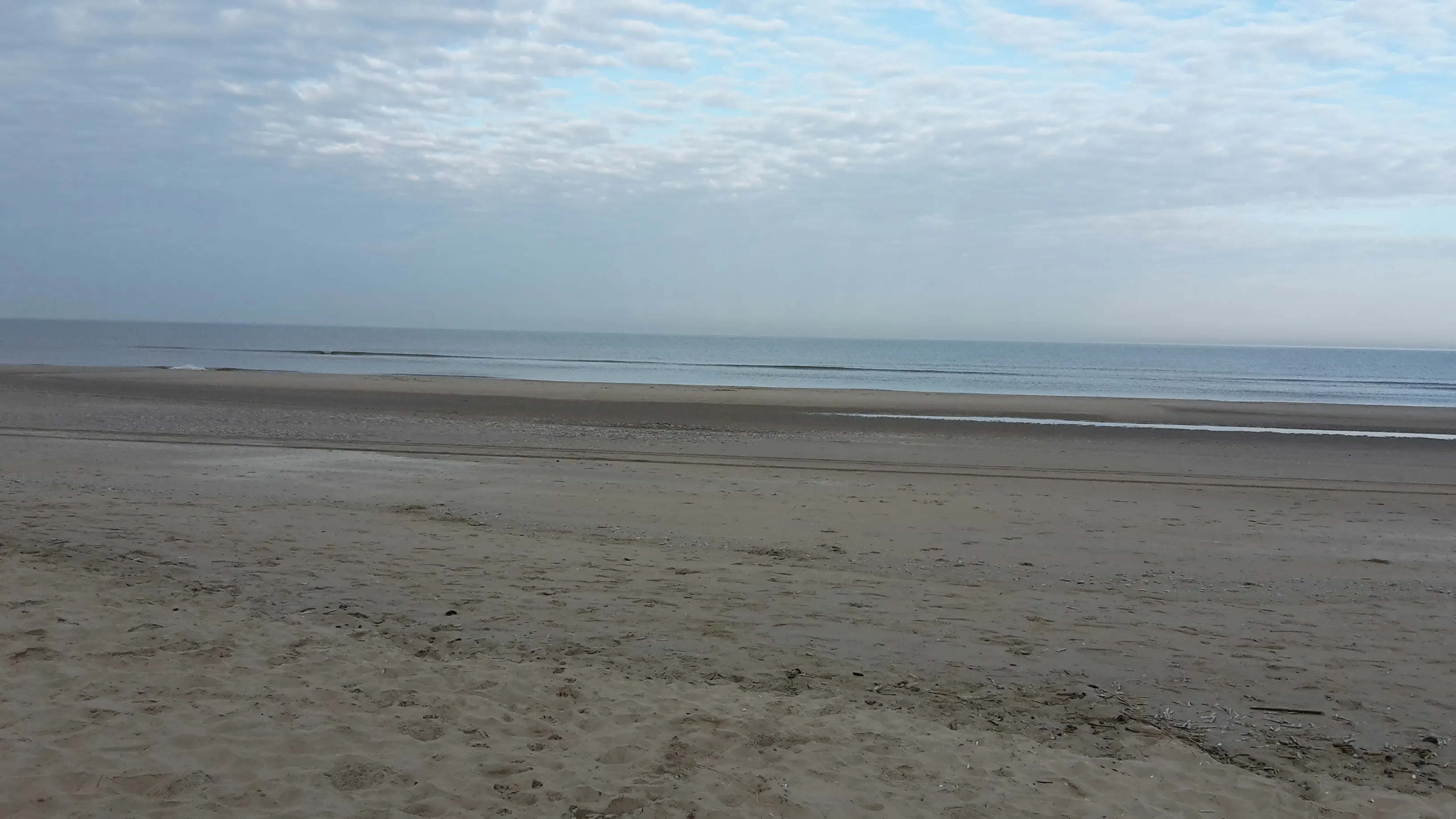 kalme zee jaap koper