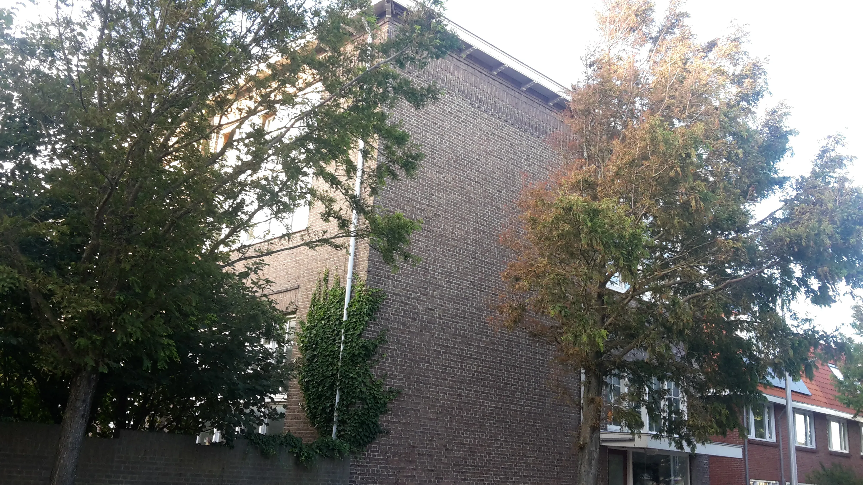 mariaschool 4 jaap koper