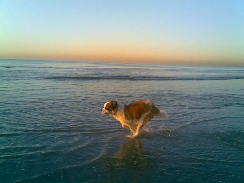 mccloud janneke van densen koper