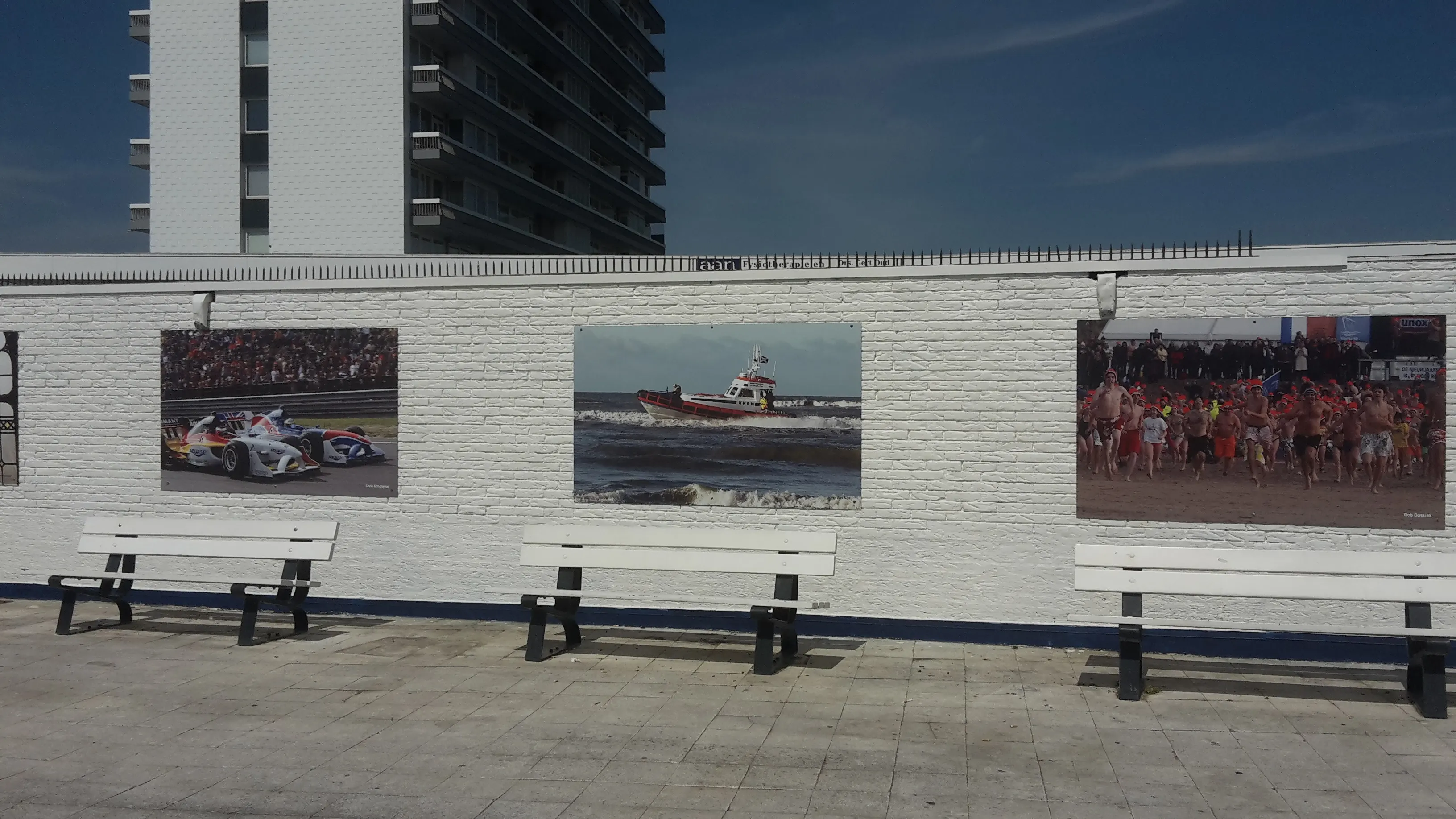 muur dolfirama fotowand