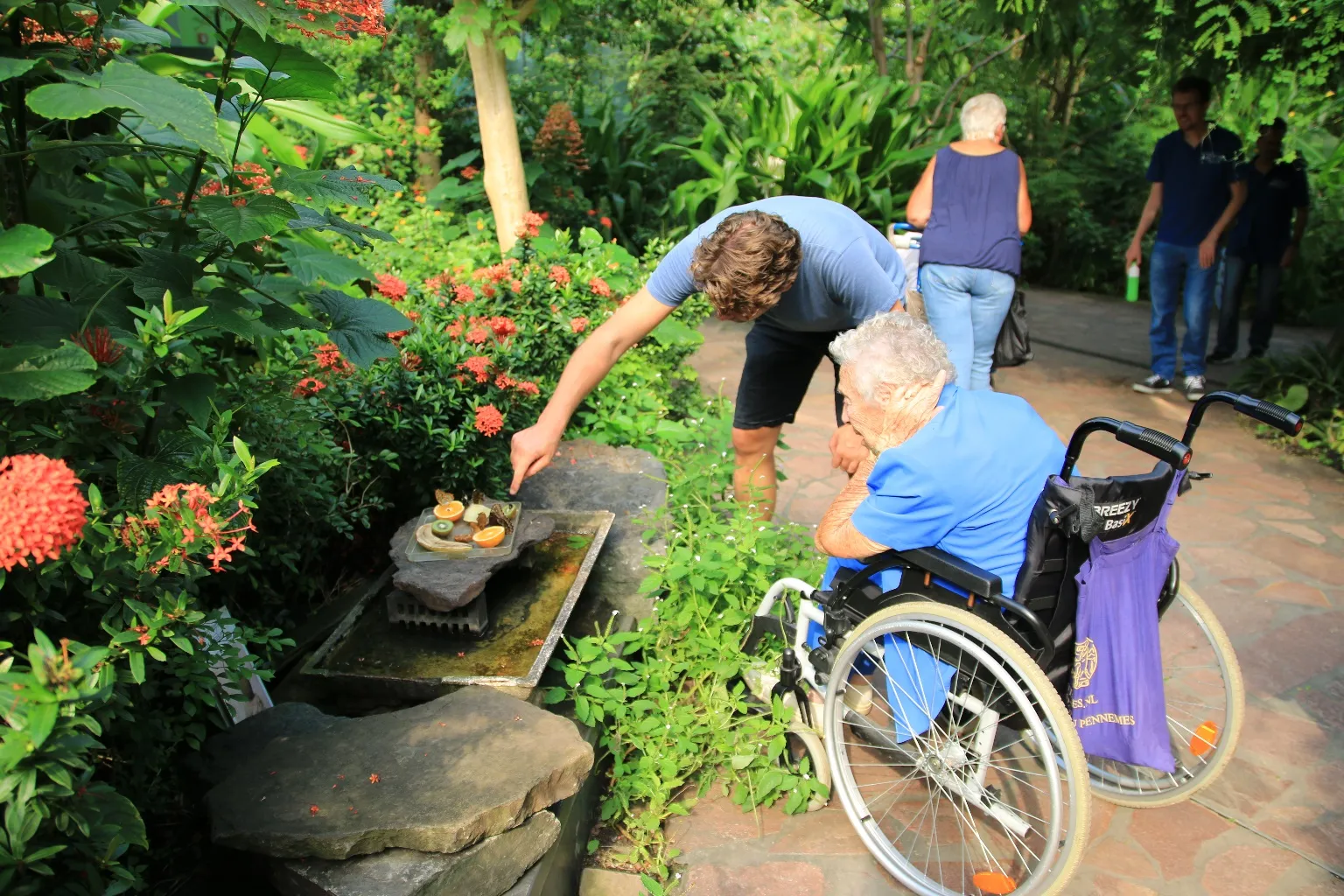 natuurbeleving ivn noord holland