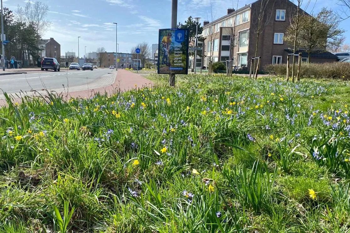 online zvrt voorjaarsbloemen van lennepweg