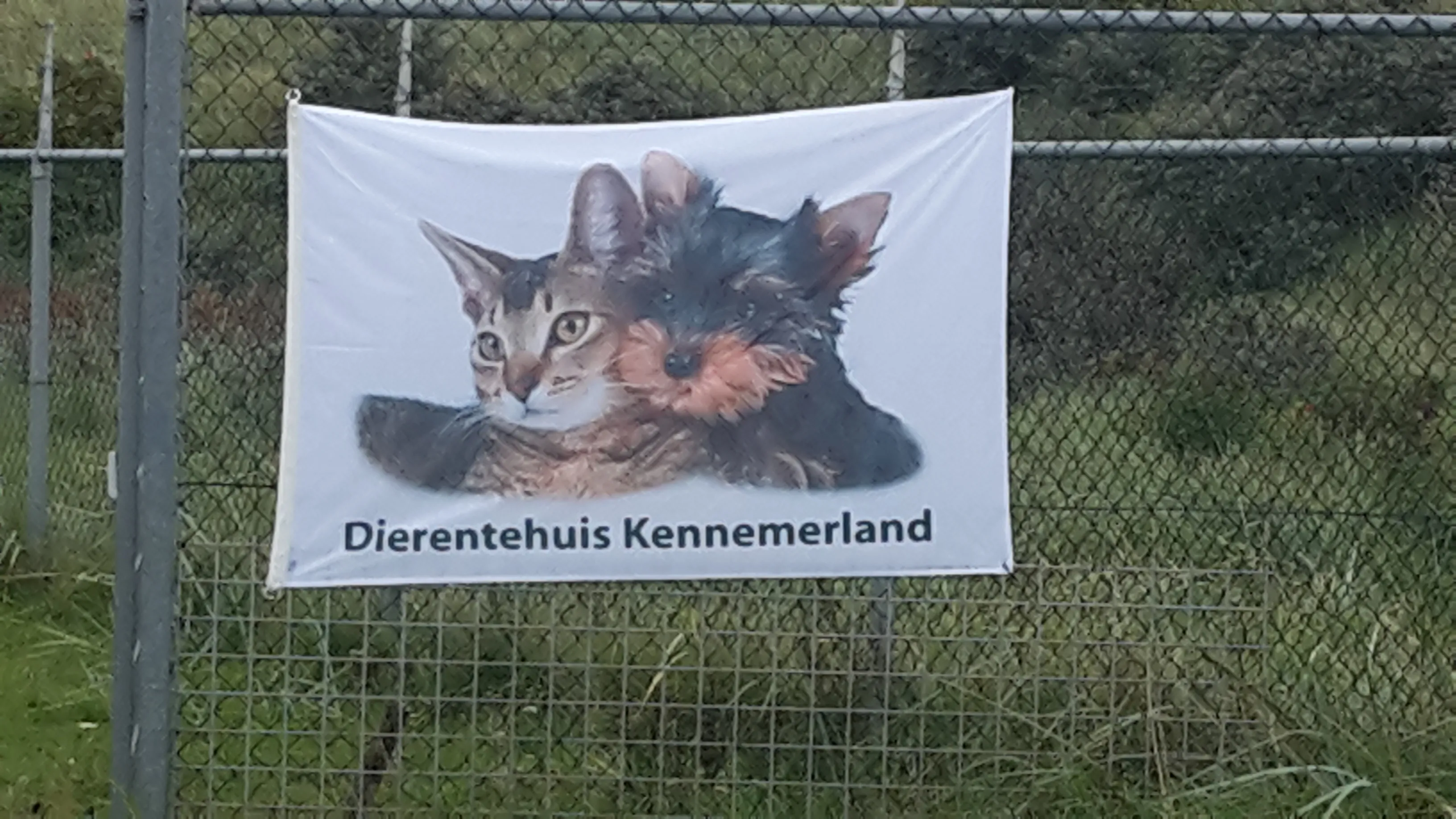 open dag dierentehuis kennemerland 2017 jaap koper
