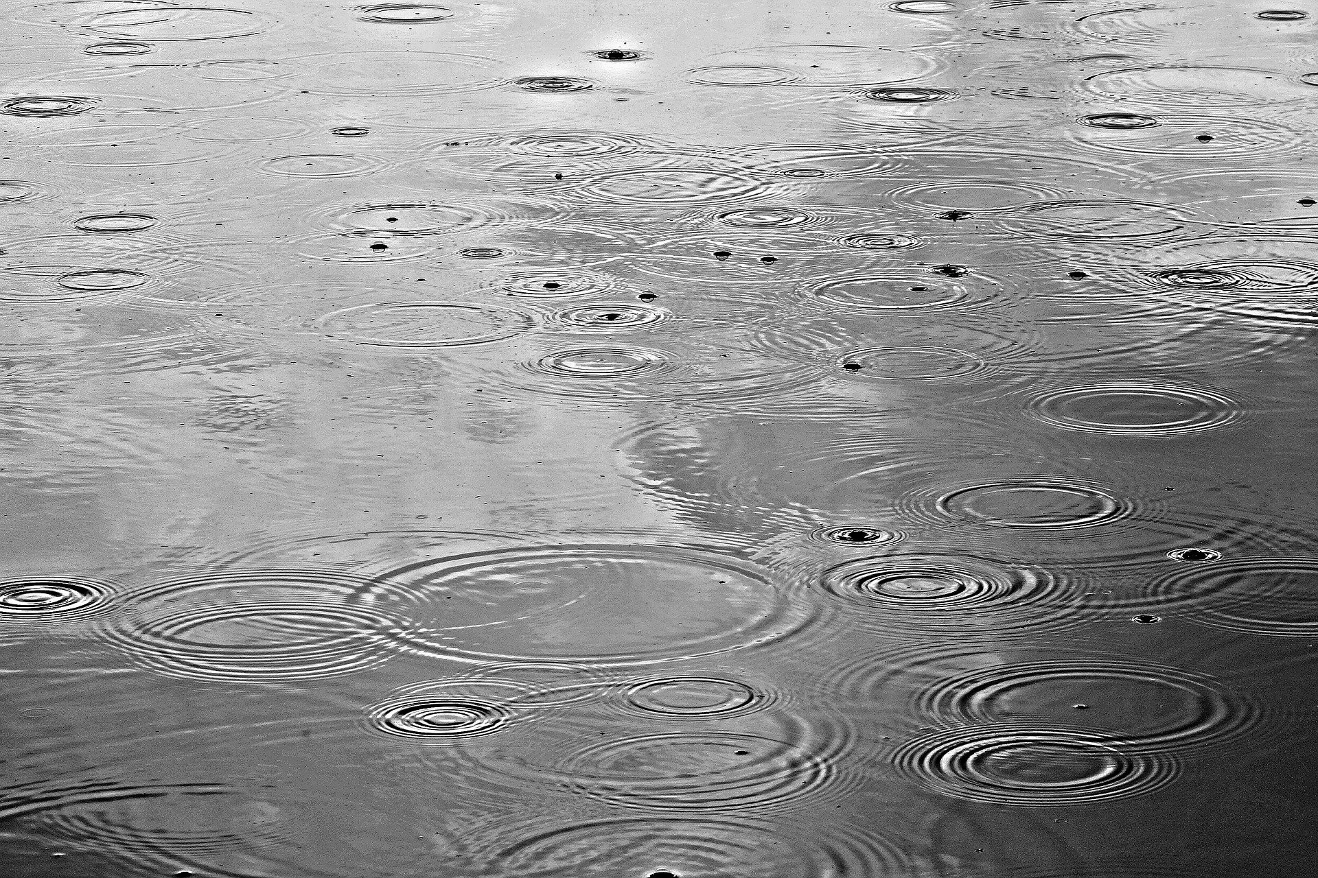 regen mabel amber pixabay