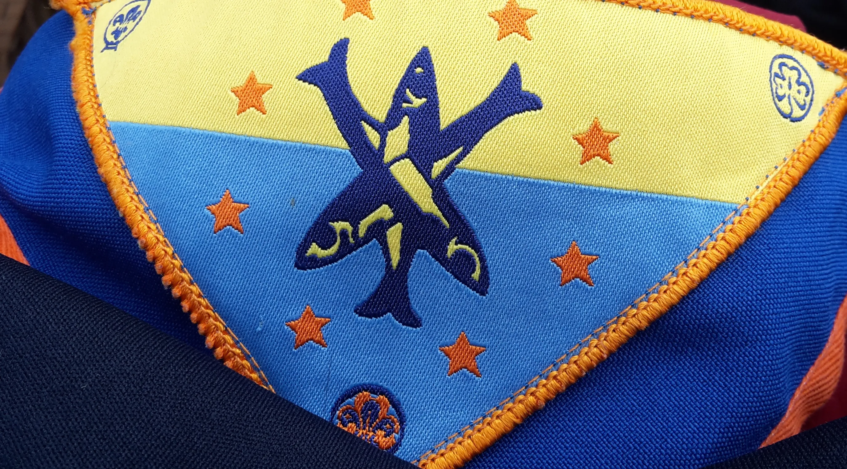 scouting embleem 1 jaap koper