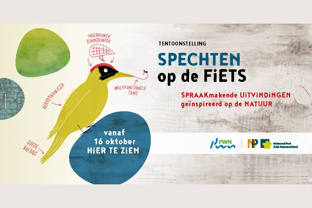 spechten pwn