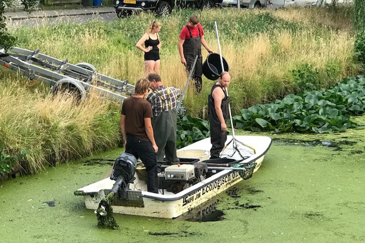 sportvisserij in actie om vissen te redden