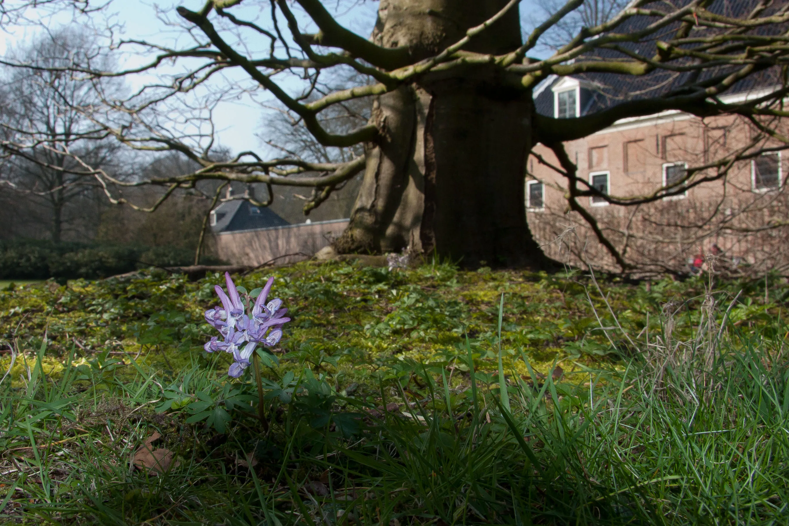 stinsenwandeling img 5308 elswout