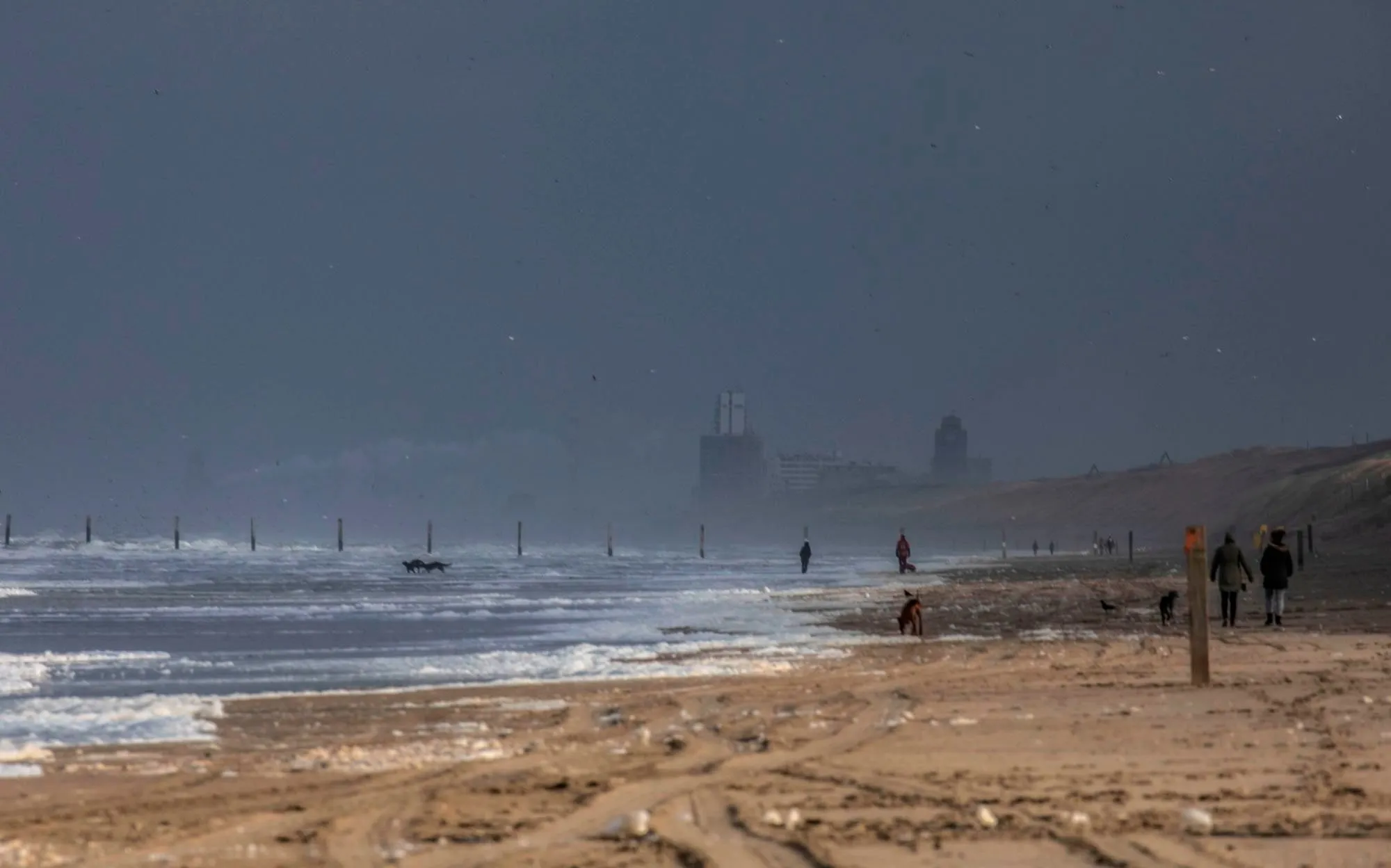 strand noordwijk en zandvoort bij noordvoort bijgesneden charles duijff