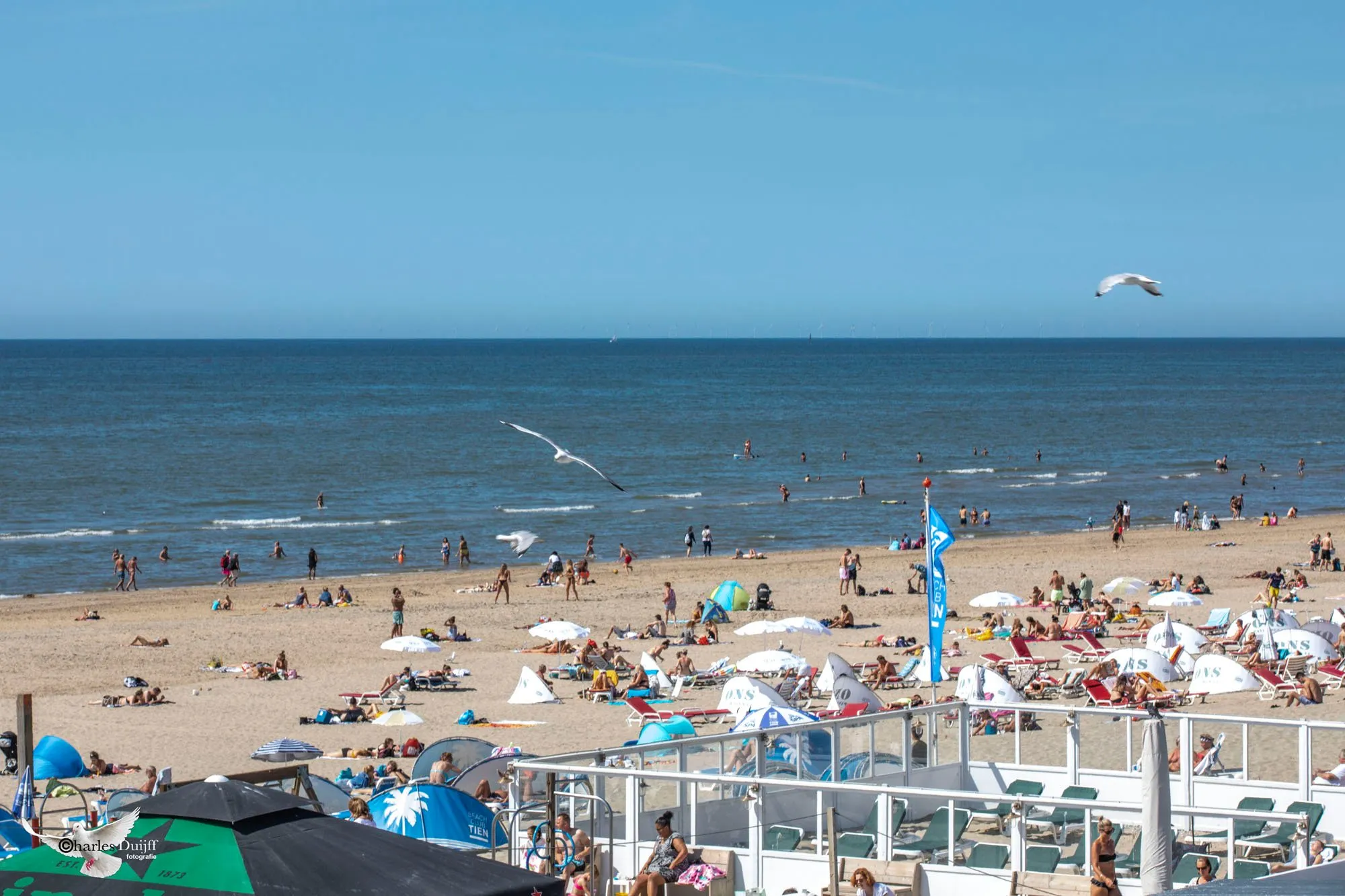 strand2