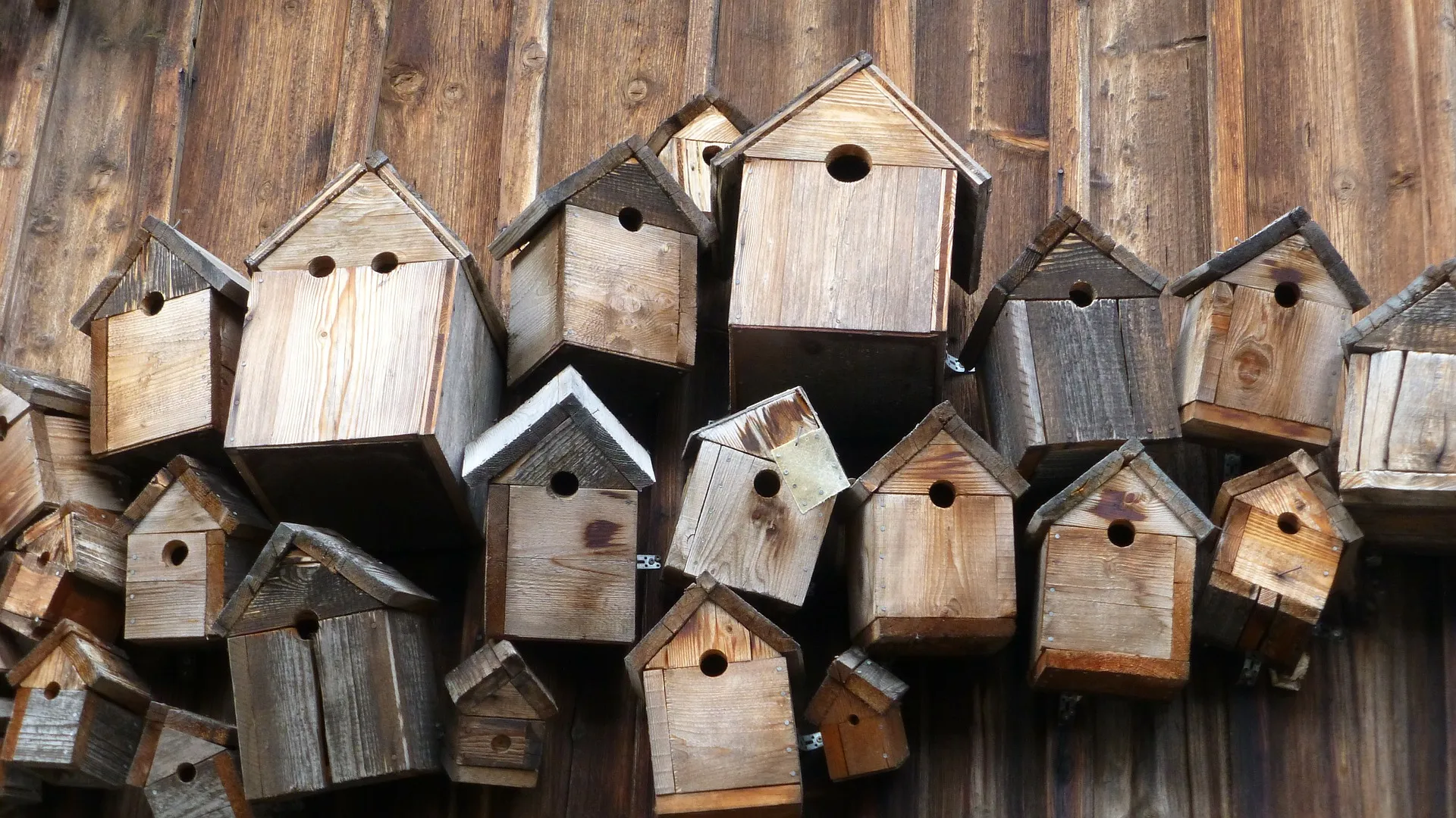 vogelhuisjes pixabay