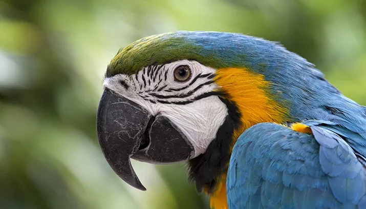 wim meijer fotografie img 4612 715x408