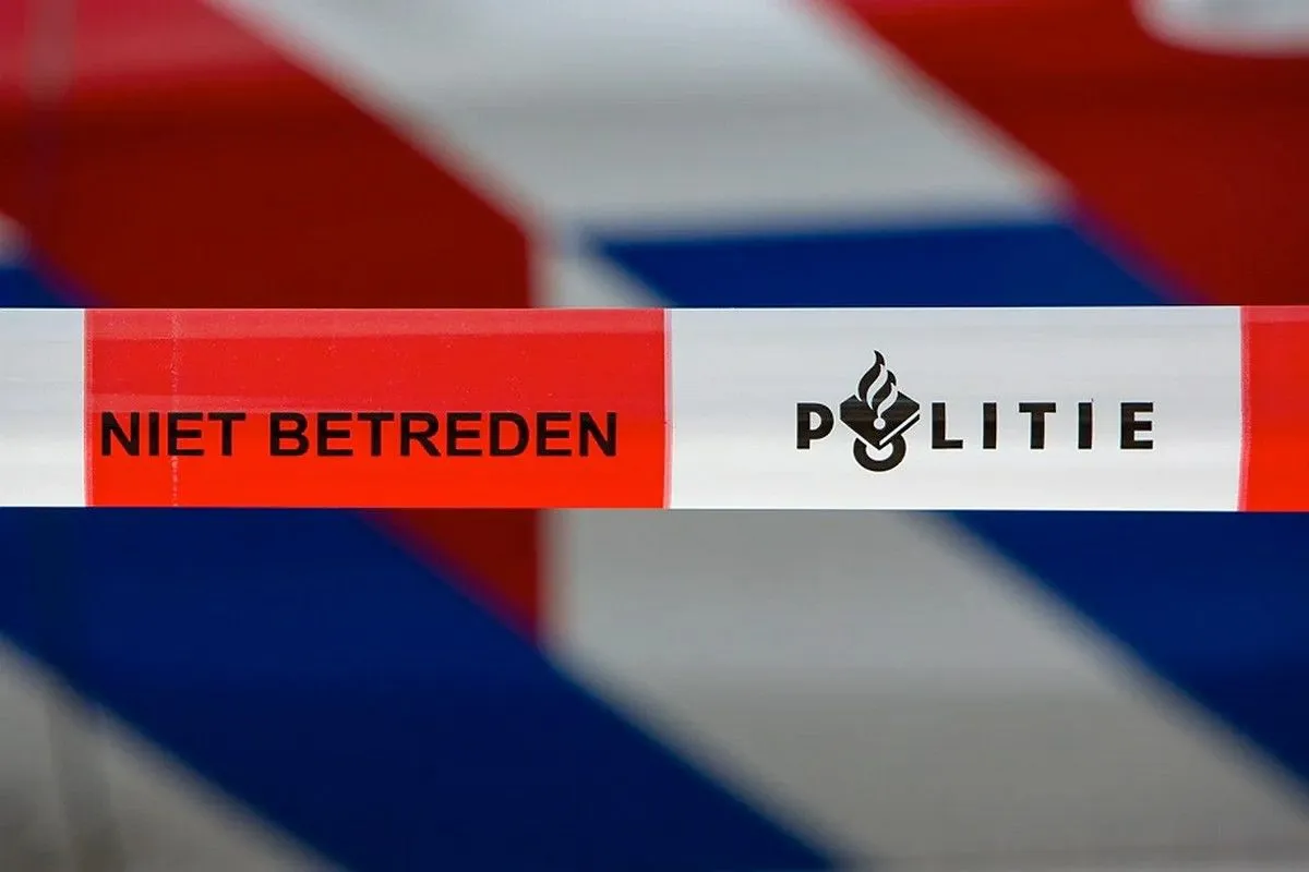 2020 07 07 zh1a2399bjpg ut js 006cms