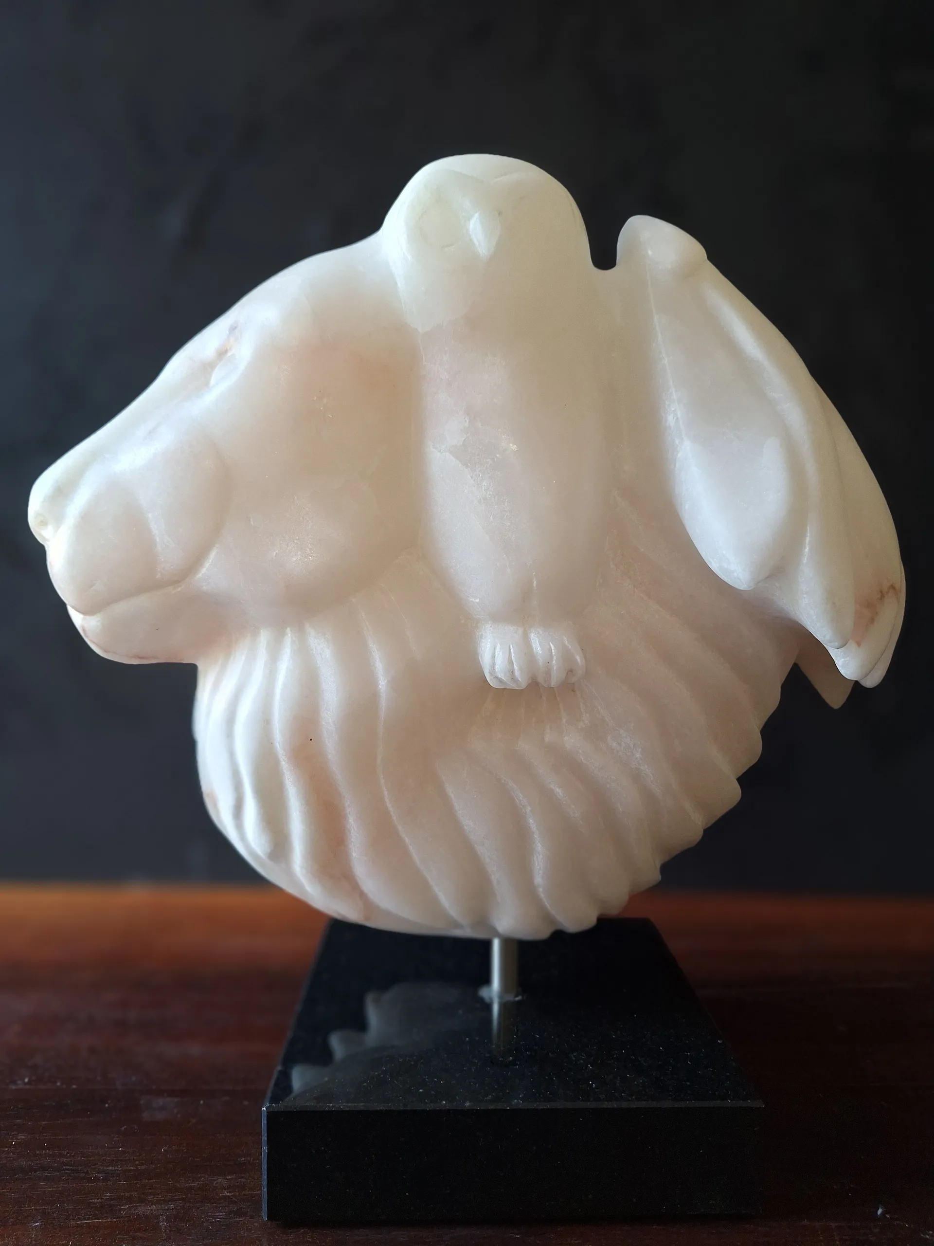 LionsgateCarlaVeldman