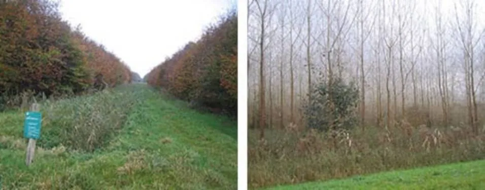 horsterwold zeewolde 1 hotspot holland