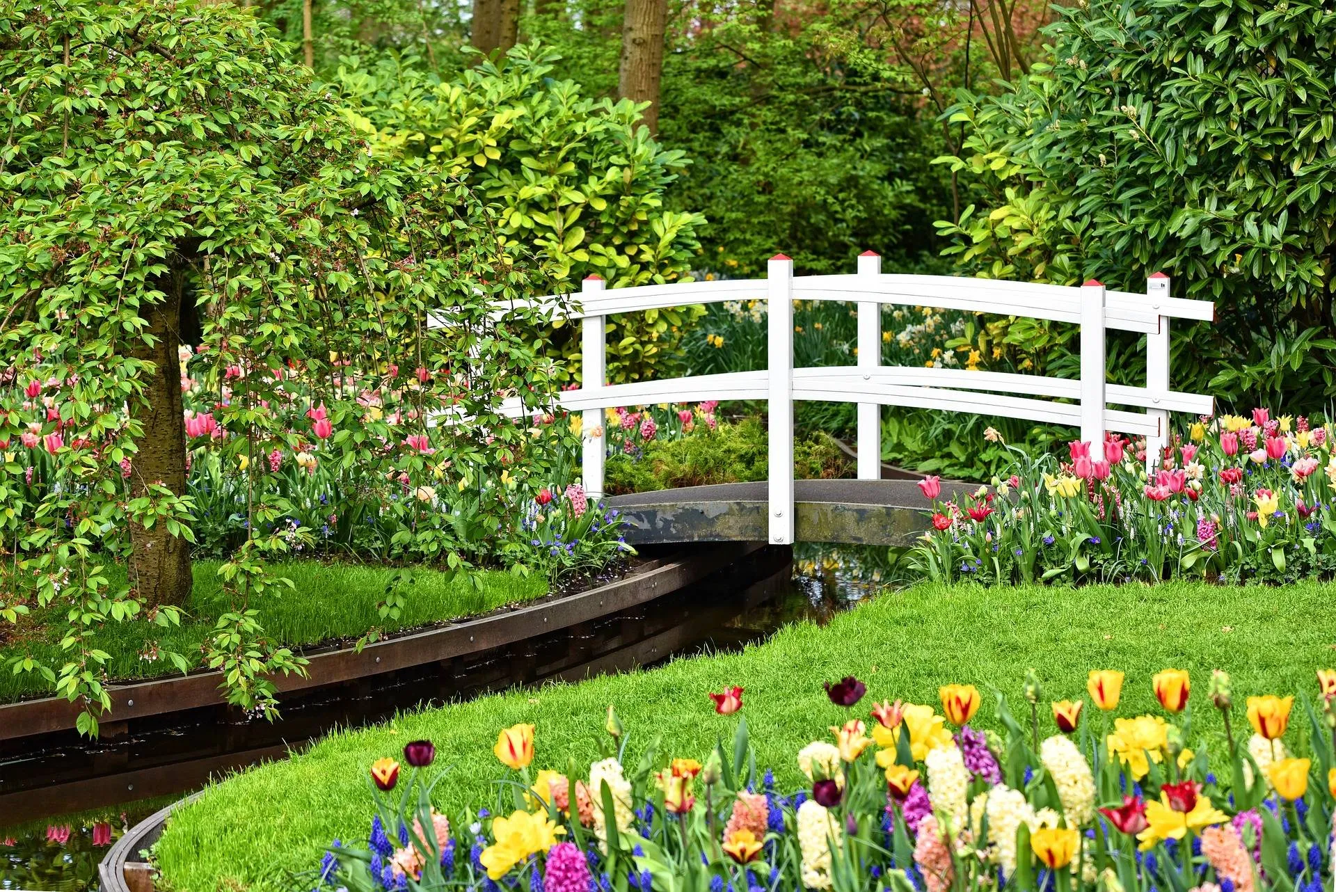groene tuin pixabay