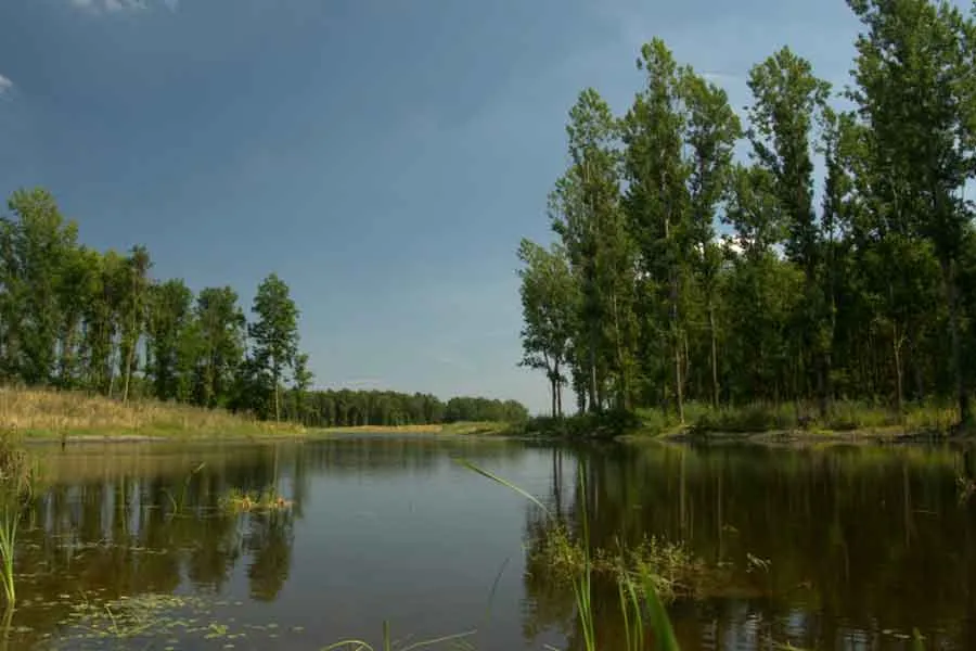 horsterwold stille kern staatsbosbeheer