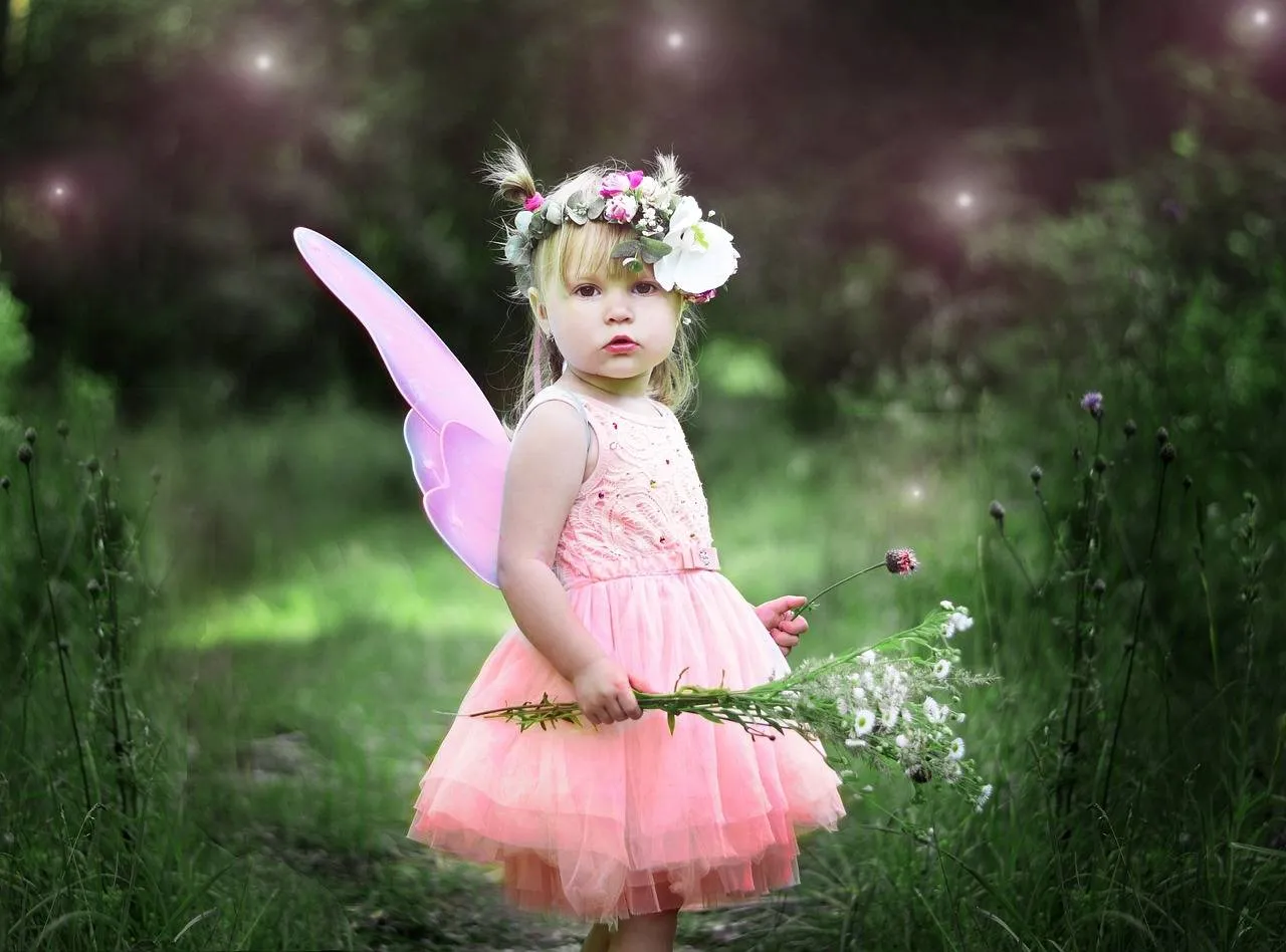 kind fee pixabay